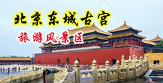 欧美美女日逼视频中国北京-东城古宫旅游风景区